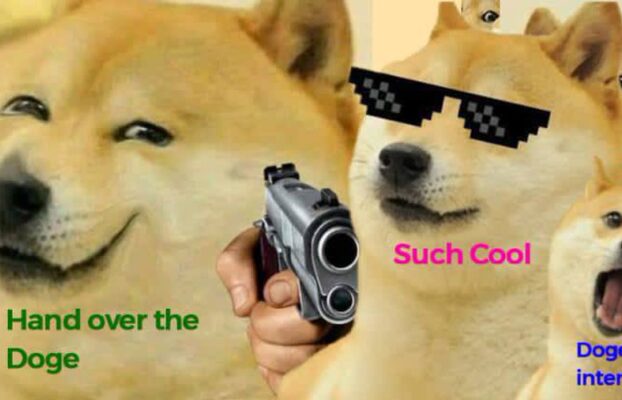 Celebrating Kabosu: The Queen of Memes and the Oldest Shiba Inu Alive