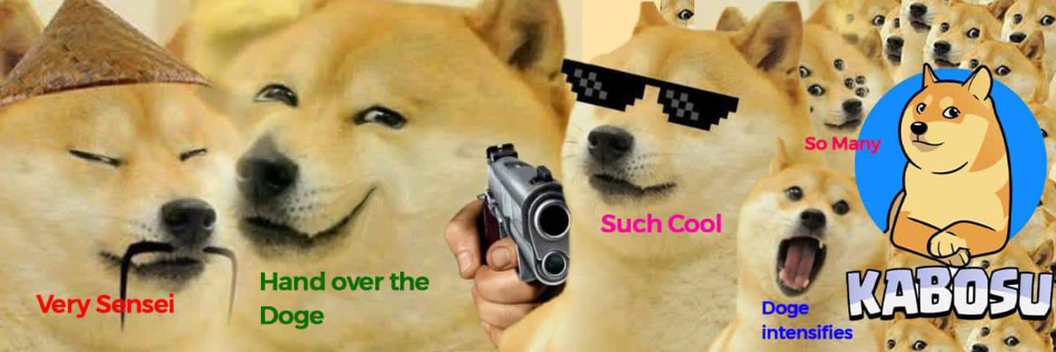 Celebrating Kabosu: The Queen of Memes and the Oldest Shiba Inu Alive